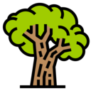 Engenharia Agronômica